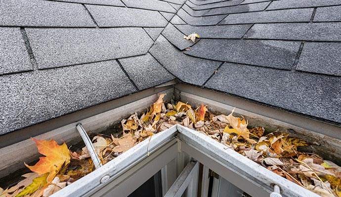 Gutter is clogged with leaves