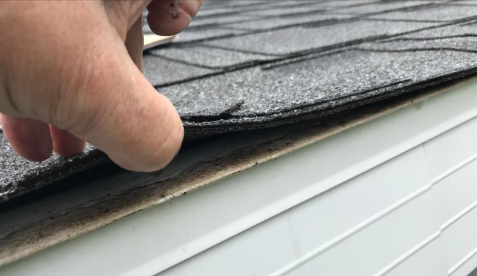 Expert technician inspecting the roof