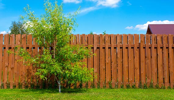 wooden fence in a house tree fence installing and repairing service